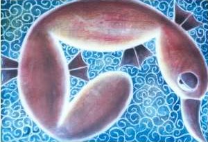 Platypus Swirls - Australian Animals.