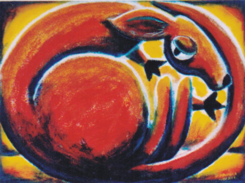 Red Roo - Australian Animals.